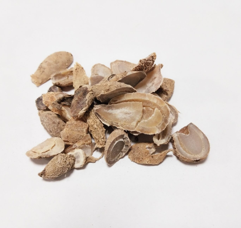 郁金(溫郁金) CURCUMAE RADIX