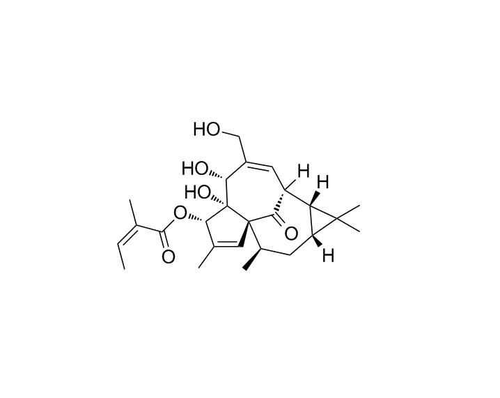 巨大戟醇-3-O-當(dāng)歸酸酯|75567-37-2