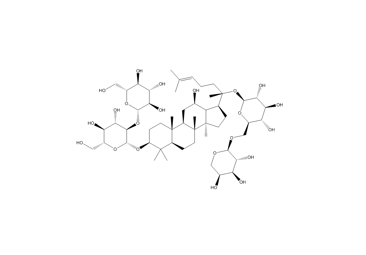 人參皂苷Rb2|11021-13-9