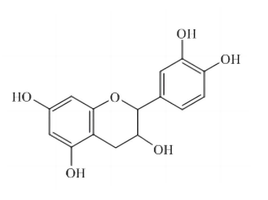 兒茶素|154-23-4