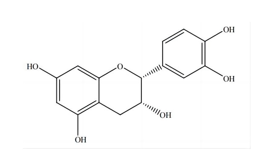 表兒茶素|490-46-0