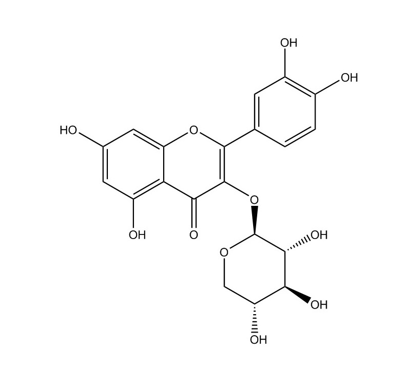 槲皮素-3-O-β-D-木糖甙|549-32-6