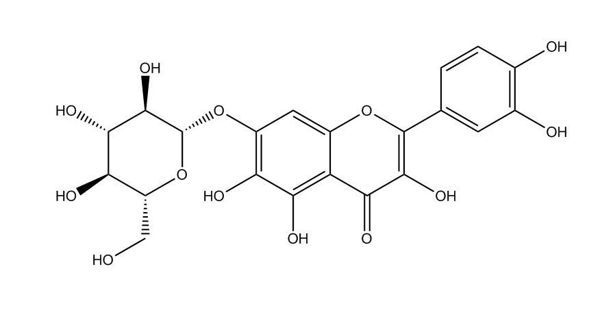 槲皮萬壽菊素-7-O-β-吡喃葡萄糖苷|548-75-4