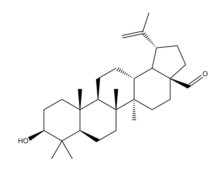 白樺脂醛|13159-28-9