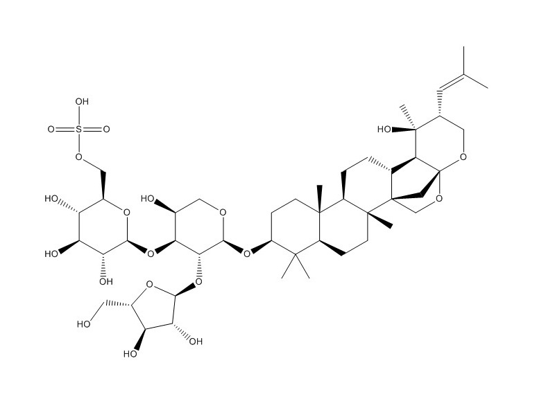 假馬齒莧皂苷I|382148-47-2