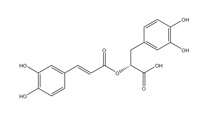 迷迭香酸|20283-92-5